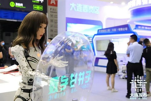 國家級(jí)盛會(huì)啟幕大連，擘畫應(yīng)用軟件服務(wù)新藍(lán)圖