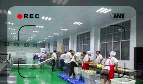 2020加盟小型加工廠的靠譜生意 這幾個(gè)不愁銷路