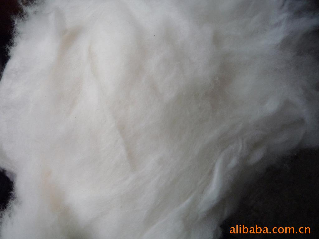 【棉花 在生棉花 布邊 化纖 滌綸 粘膠】?jī)r(jià)格,廠家,圖片,其他紡織廢料,永嘉縣橋下鎮(zhèn)路斯無(wú)紡布加工廠-