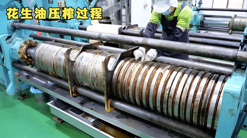 揭秘花生加工廠,原來(lái)花生油是這樣壓榨出來(lái)的,又長(zhǎng)見(jiàn)識(shí)了