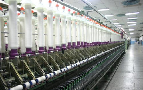 行業低靡 這家紡企的年利潤卻在10年里增長了305