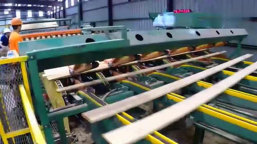 木材加工場,從生產線出來的最終產品,我還是第一次見到