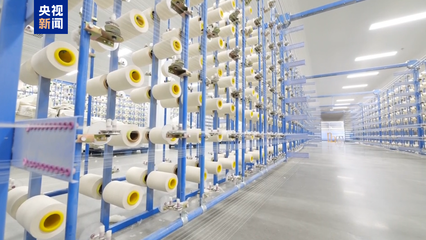 田間好&ldquo;豐&rdquo;光 新疆喀什700多萬畝棉花進入采收期