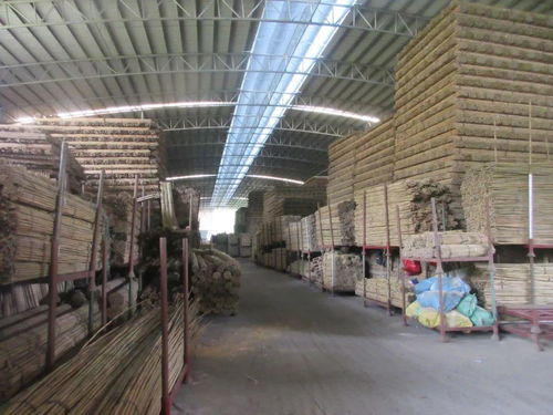 懷集這兩個基地榮獲 肇慶市巾幗創業示范基地 稱號