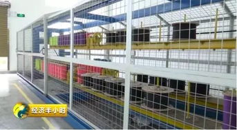 厲害了 望里鎮(zhèn)登上央視 經(jīng)濟(jì)半小時 ,看蒼南傳統(tǒng)棉紡產(chǎn)業(yè)如何 老樹開新花