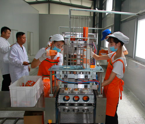 鎮安萬噸農產品深加工投產 帶動萬名群眾脫貧致富