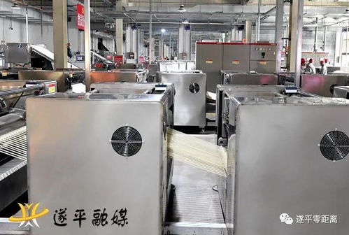 山東省濰坊市考察團(tuán)來(lái)遂平縣考察農(nóng)產(chǎn)品加工業(yè)建設(shè)情況