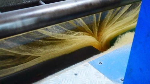 我們?cè)笧槟銏?jiān)守 e家內(nèi)蒙溯源特輯