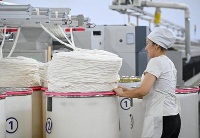 新疆阿圖什:新疆棉撬動(dòng)就業(yè)弦