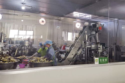 農(nóng)行云南省分行發(fā)放近百億元助力企業(yè)復(fù)工復(fù)產(chǎn)