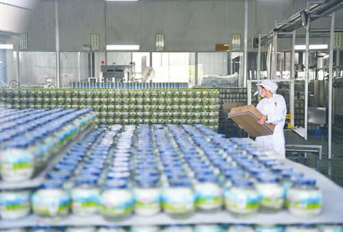 農(nóng)業(yè)園區(qū)引領(lǐng)全力打造農(nóng)業(yè)高質(zhì)量發(fā)展 火車(chē)頭