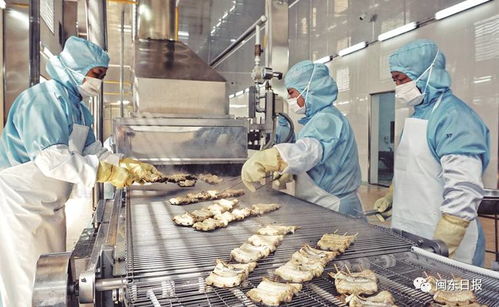 開發三都澳 建設新寧德 三同工程助力水產加工業轉型升級，東僑提升配套服務北部新區產業發展