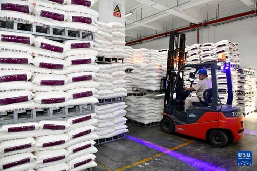 山東兗州 雙輪驅動產業升級，食品加工與紡紗銷售協同發展